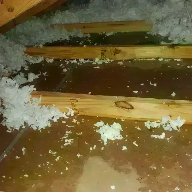 Attic Water Damage in Lockport Heights, LA